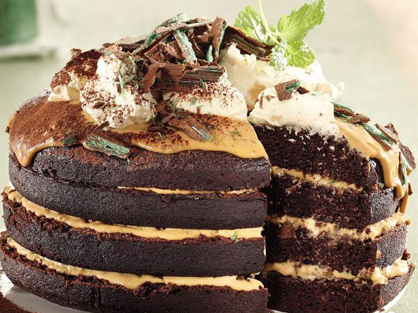 Chocolate Cake Filling Best Filling Types And Flavors 2019 Best 